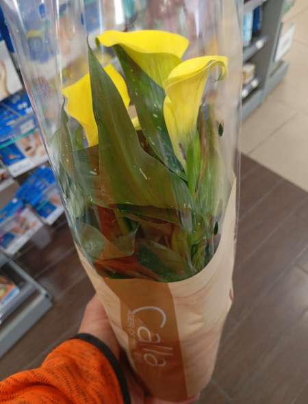 Homme pour service aux femmes