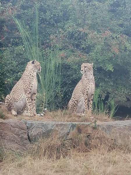 Homme 60 ans cherche femme