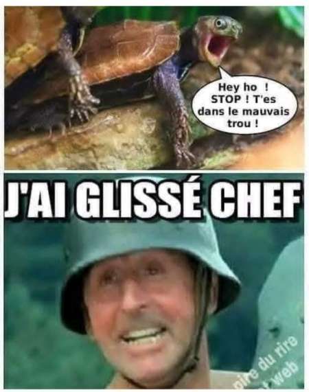 Recherche femme ou couple