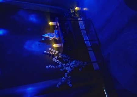 Massages sensuels bien �tre