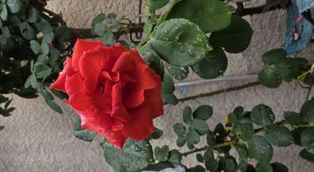 massage d�tente r�ciproque